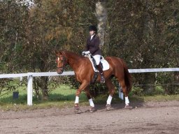 IMG_7882_web